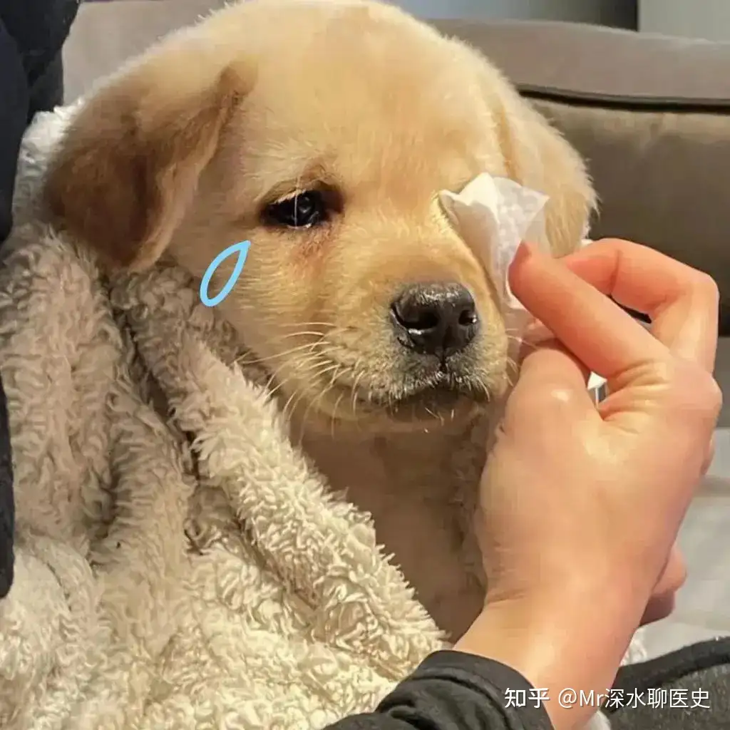 在我们中国,现代化医学也就是俗称的西医是否盛过中医?看看网友怎么回答的