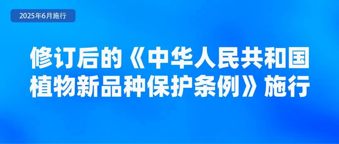6月起,这些新规将影响你我生活!