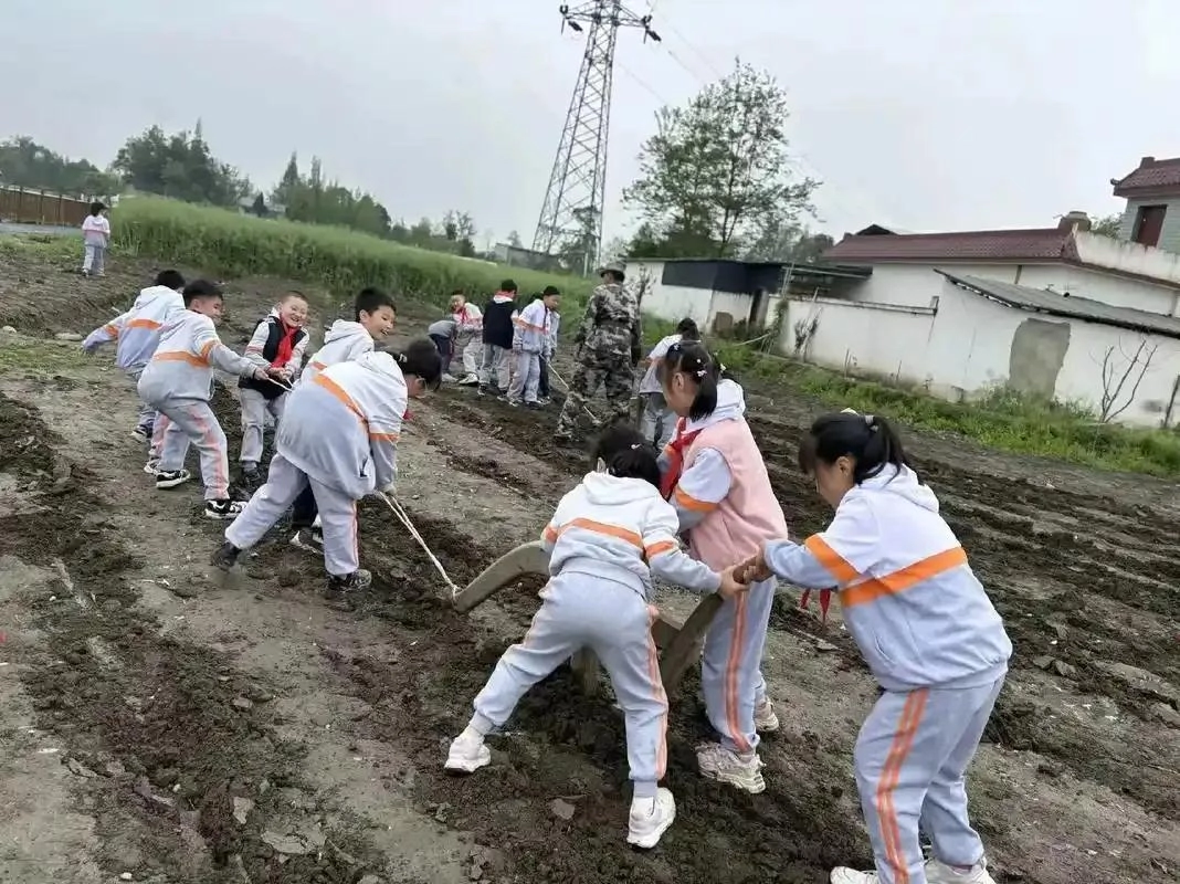 钱没了,孩子毁了:中国家长,该醒了