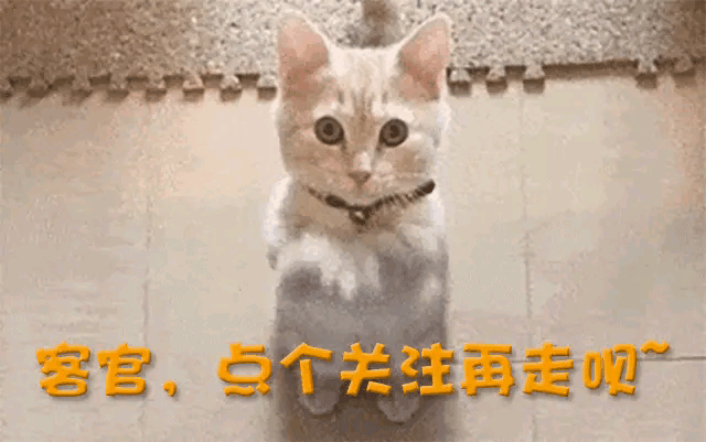 全网喊话