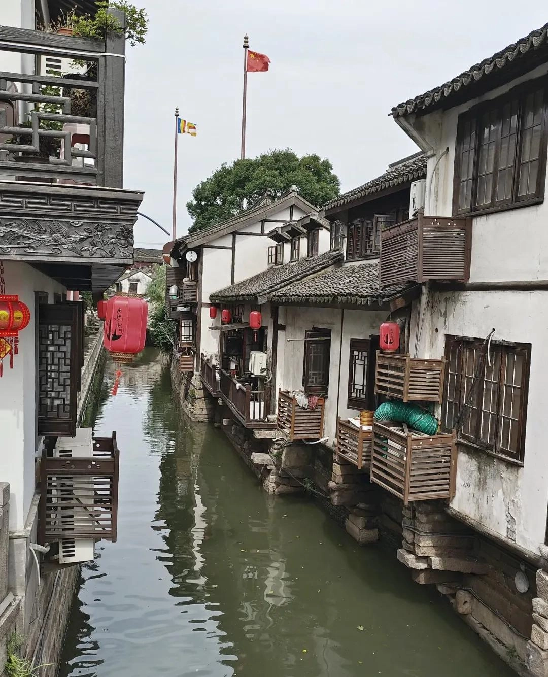 上海“最被低估”的千年古镇,有“赛苏城”之美誉,老上海人独爱