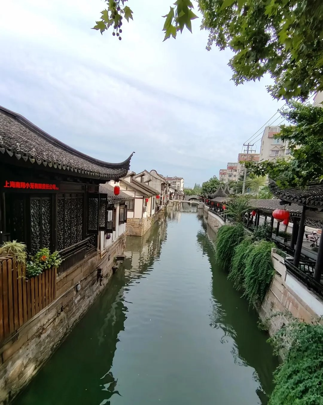 上海“最被低估”的千年古镇,有“赛苏城”之美誉,老上海人独爱