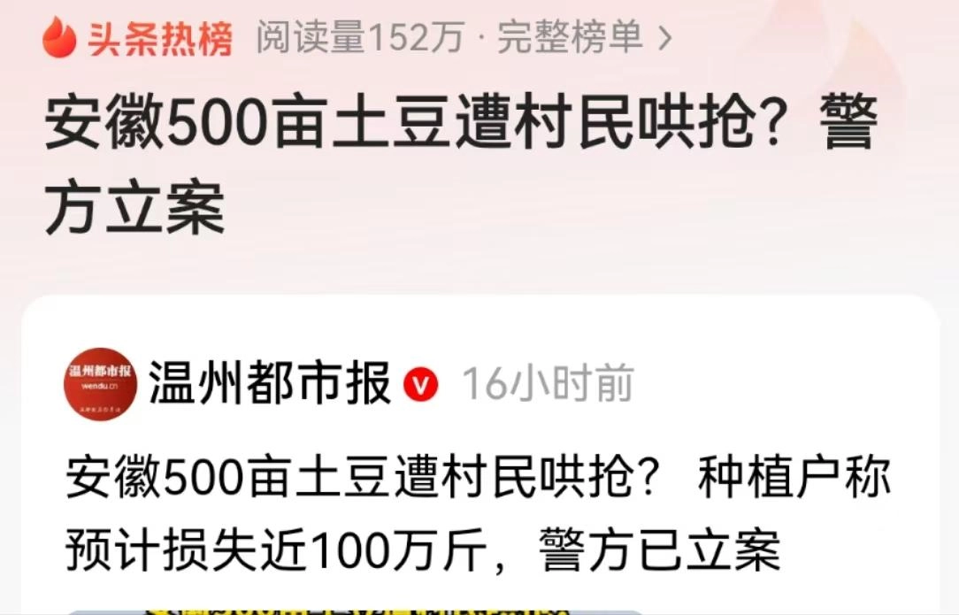 安徽500亩土豆遭村民哄抢:被告知法不责众,让他删视频影响不好