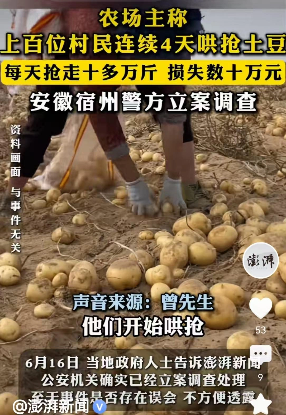 安徽500亩土豆遭村民哄抢:被告知法不责众,让他删视频影响不好
