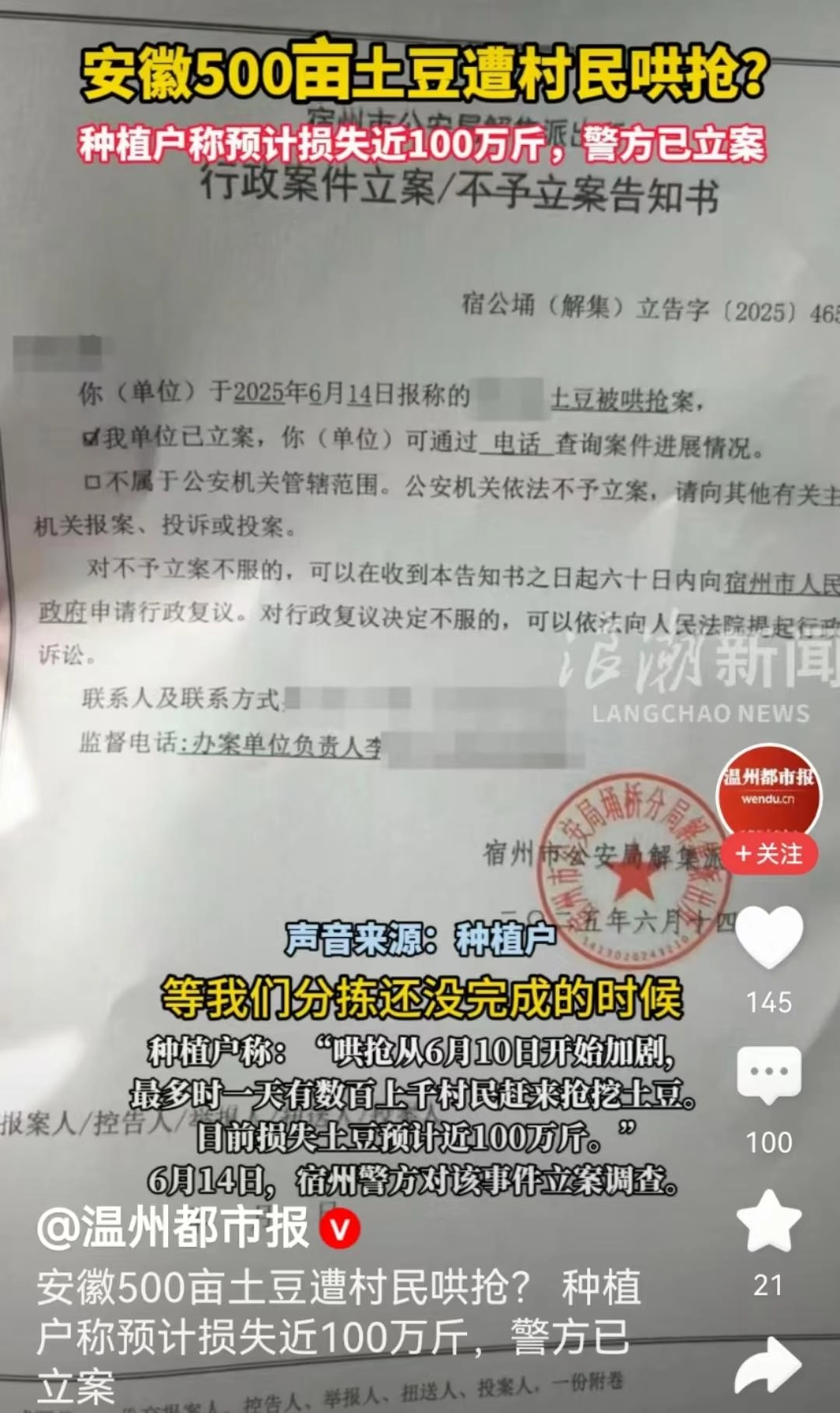 安徽500亩土豆遭村民哄抢:被告知法不责众,让他删视频影响不好