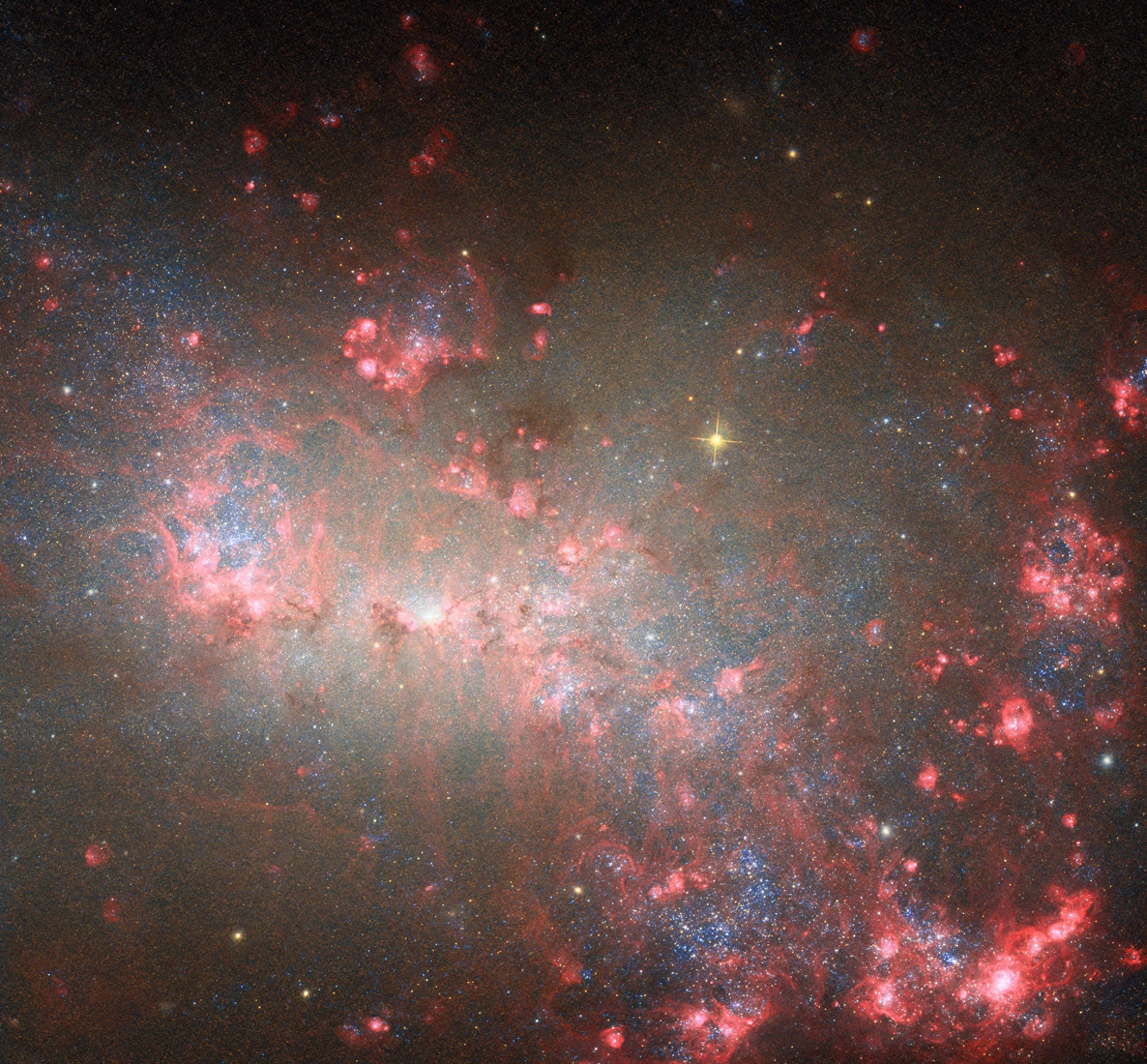 韦伯和哈勃揭示微小矮星系NGC 4449中的”恒星烟花” - 万事屋 | 生活·动漫·娱乐综合社区-银魂同好聚集地