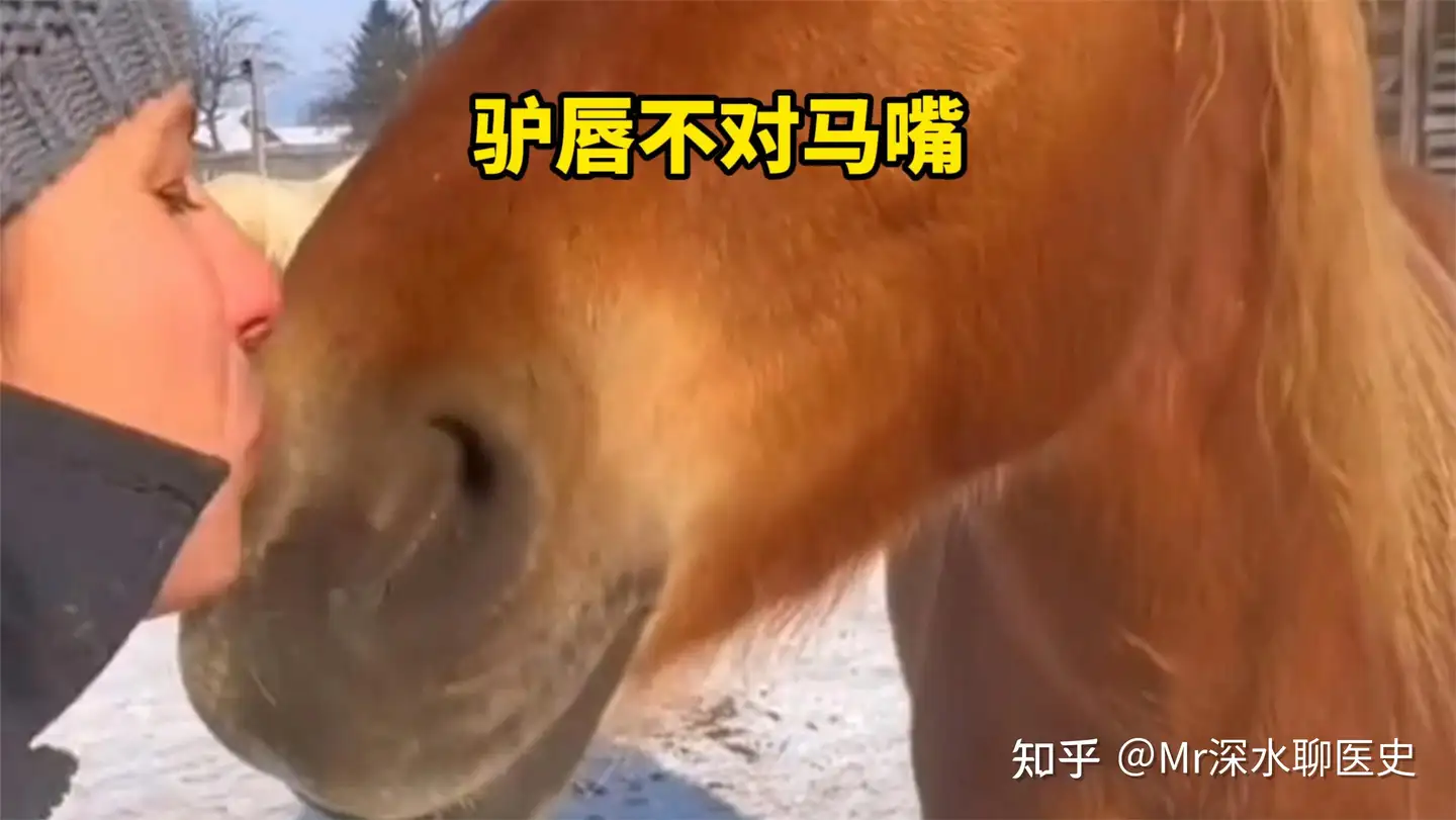 国家中医药管理局公布的95个中医优势病种 ，是依据什么确定的？看深水哥怎么揭露它！ - 万事屋 | 生活·动漫·娱乐综合社区-银魂同好聚集地