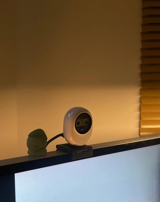 20250608150343542-image