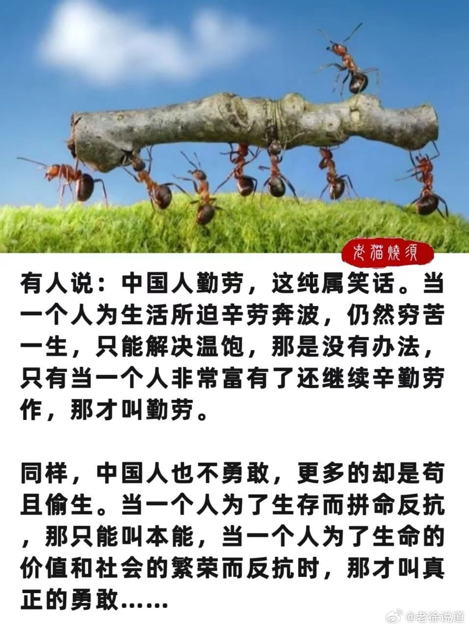 勤劳与勇敢，适合我们中国人吗？ - 生活银魂 - 大众生活 - 万事屋 | 生活·动漫·娱乐综合社区-银魂同好聚集地