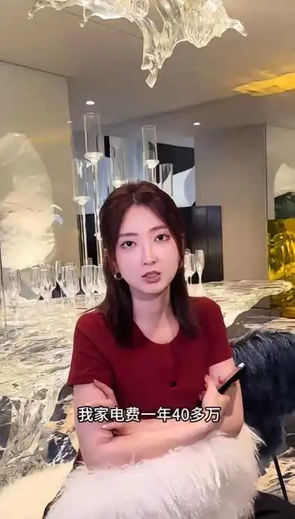 别人叫浪费电，这只能叫有钱，电费竟然高达40多万，看完她家，全网沉默了！ - 生活银魂 - 大众生活 - 万事屋 | 生活·动漫·娱乐综合社区-银魂同好聚集地
