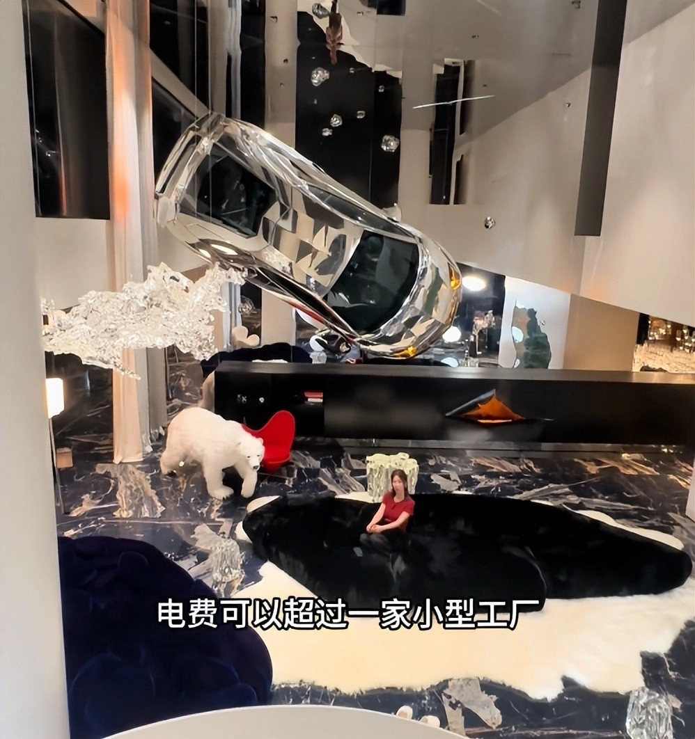 别人叫浪费电，这只能叫有钱，电费竟然高达40多万，看完她家，全网沉默了！ - 万事屋 | 生活·动漫·娱乐综合社区-银魂同好聚集地