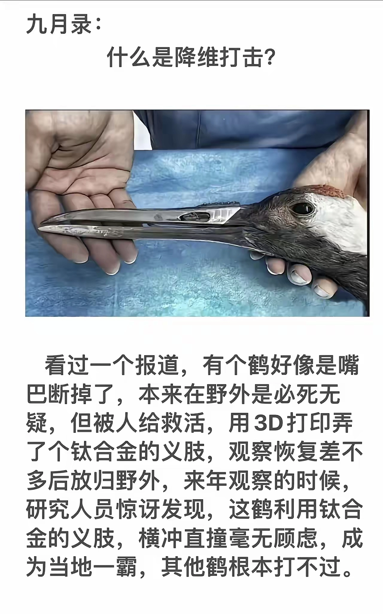 也算是因祸得福吧？可以写一部小说了 - 万事屋 | 生活·动漫·娱乐综合社区-银魂同好聚集地