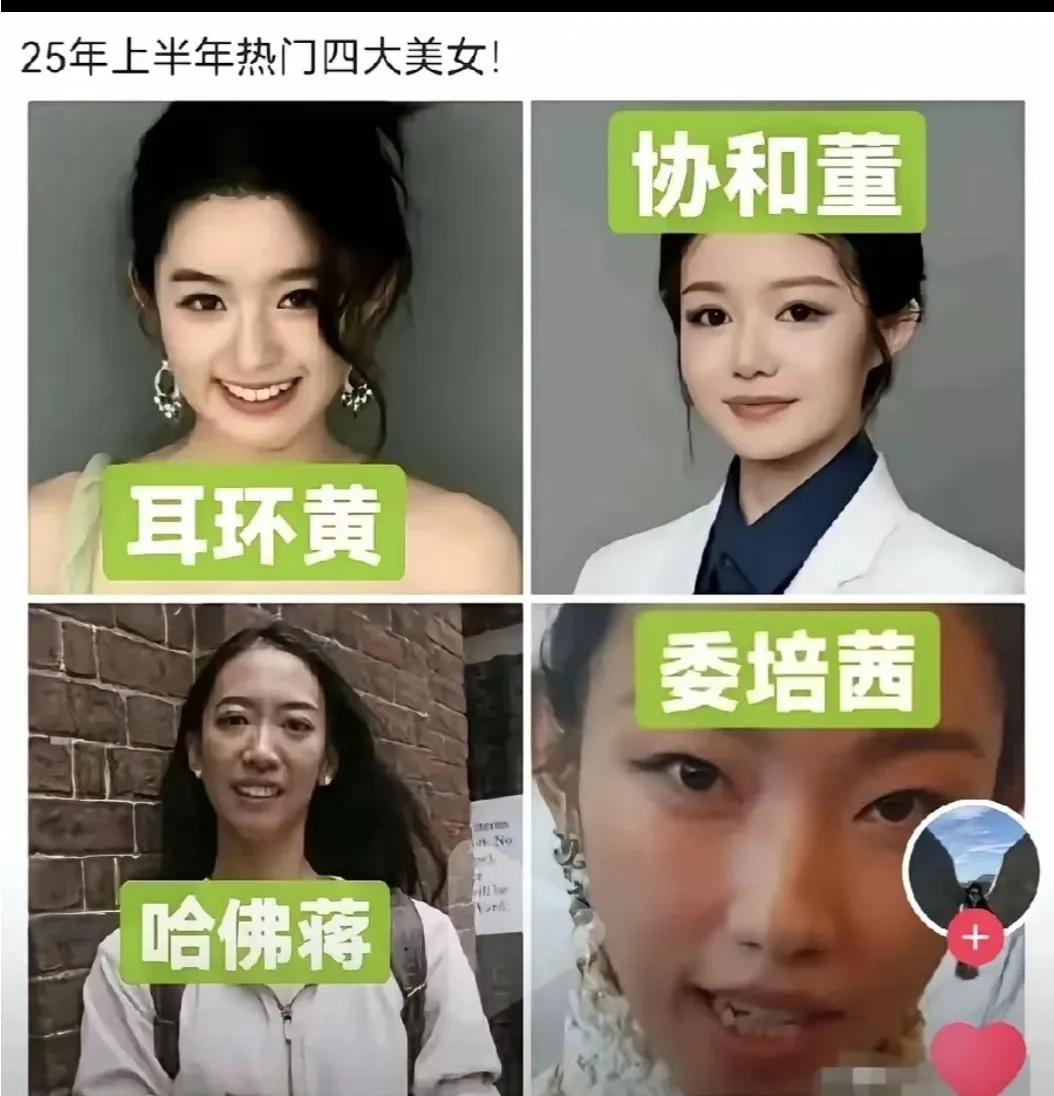 我国2025年四大美女出炉 - 吐槽银魂 - 大众生活 - 万事屋 | 生活·动漫·娱乐综合社区-银魂同好聚集地