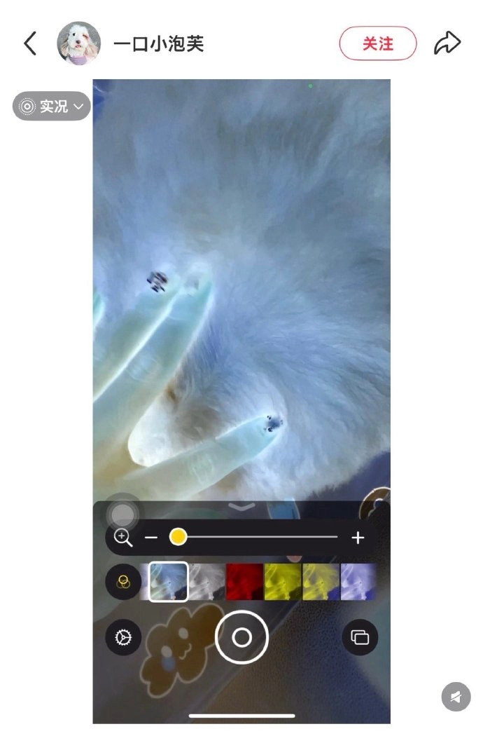 网友分享iPhone隐藏功能：用iPhone找虫子 - 万事屋 | 生活·动漫·娱乐综合社区-银魂同好聚集地