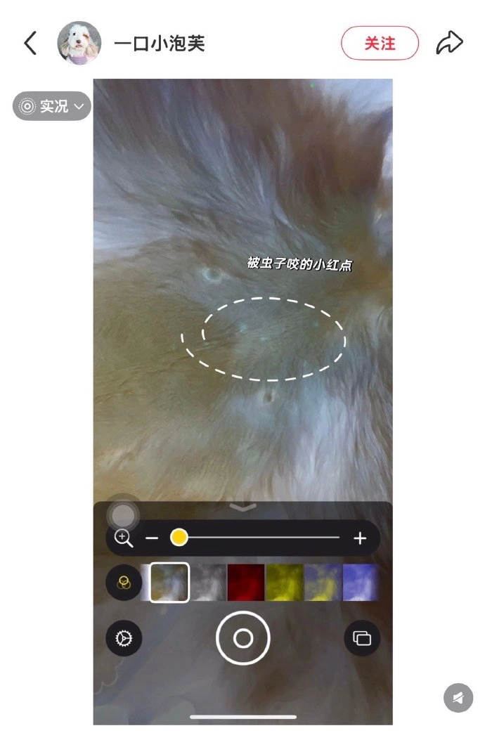 网友分享iPhone隐藏功能：用iPhone找虫子 - 万事屋 | 生活·动漫·娱乐综合社区-银魂同好聚集地