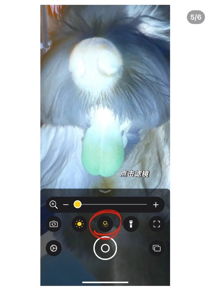 20250630174651198-image