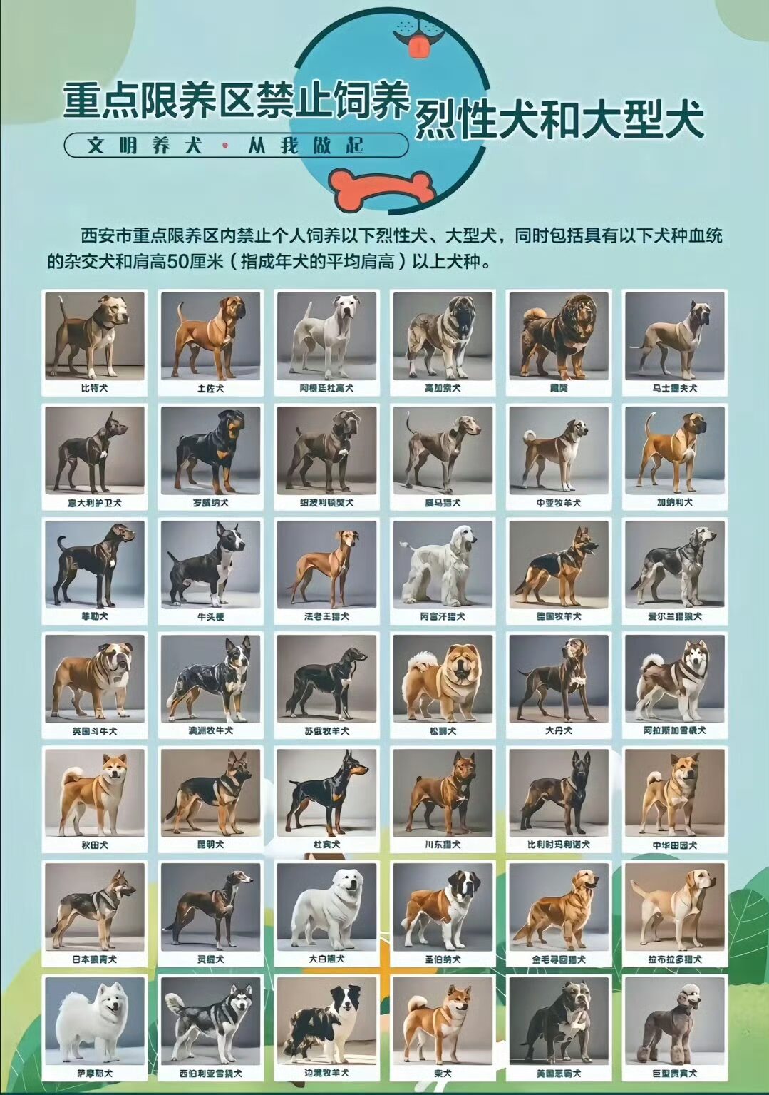网友分享的禁养犬名单 - 生活银魂 - 大众生活 - 万事屋 | 生活·动漫·娱乐综合社区-银魂同好聚集地