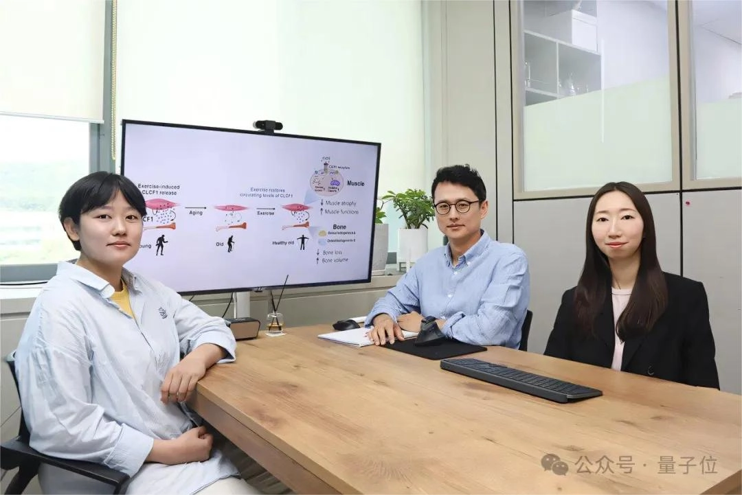 老年人12周才有效,年轻人一次就够:科学家揭示丢失的运动激素