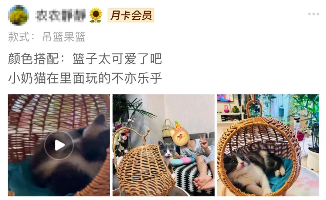 商家提醒“这不是猫窝”,铲屎官们“我偏要买!”结果尺寸不对!