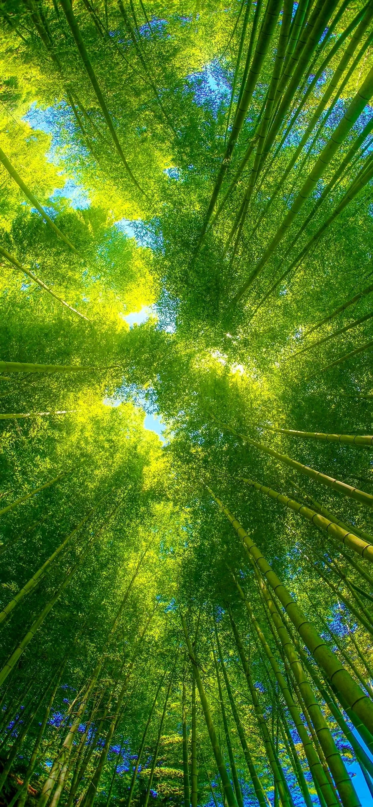 分享一些高清手机壁纸，18号不错哦 - 万事屋 | 生活·动漫·娱乐综合社区-银魂同好聚集地
