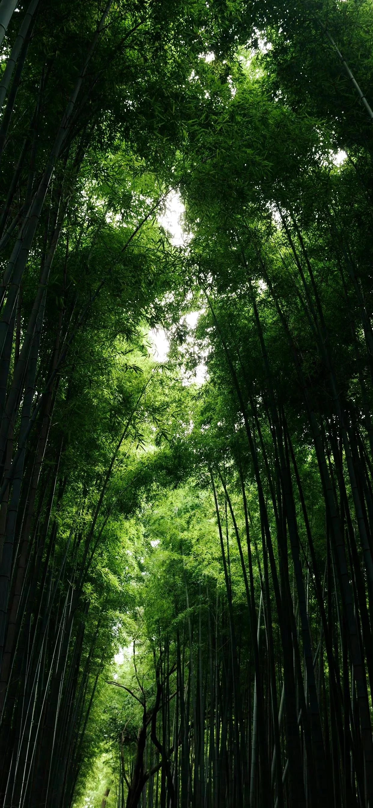 分享一些高清手机壁纸，18号不错哦 - 万事屋 | 生活·动漫·娱乐综合社区-银魂同好聚集地