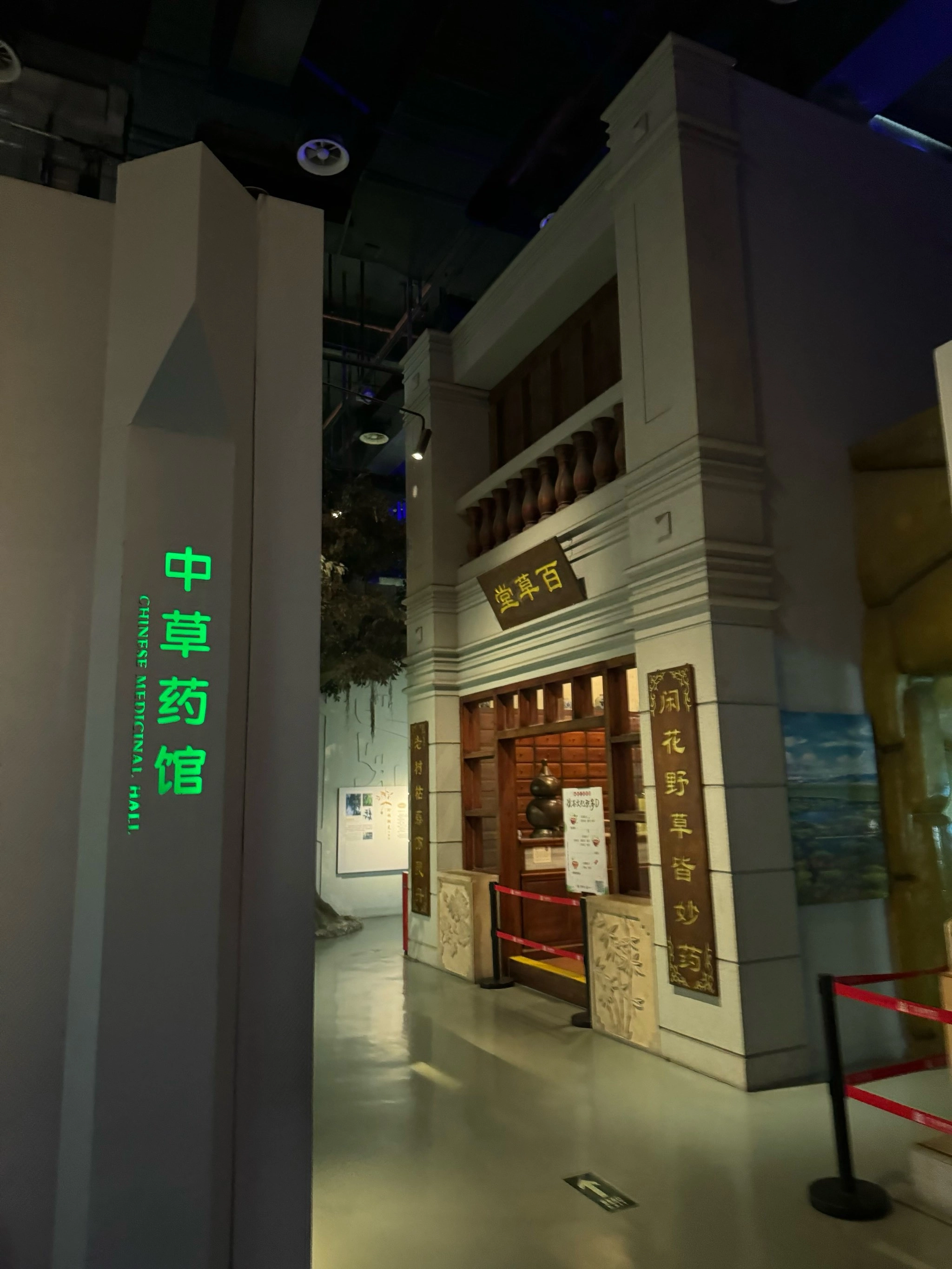 中医进博物馆:文化遗产还是科学医疗?以肺痨治疗为例的现代思考