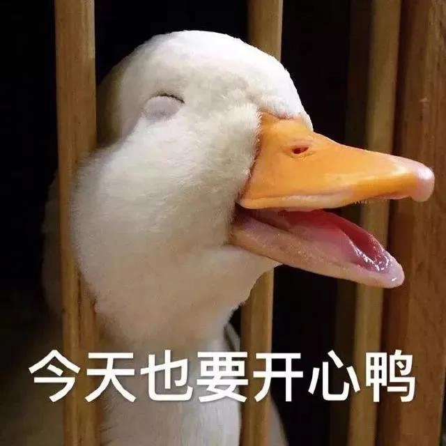 网友说CarPlay这3个功能藏得太深,但老司机们都在偷偷用!