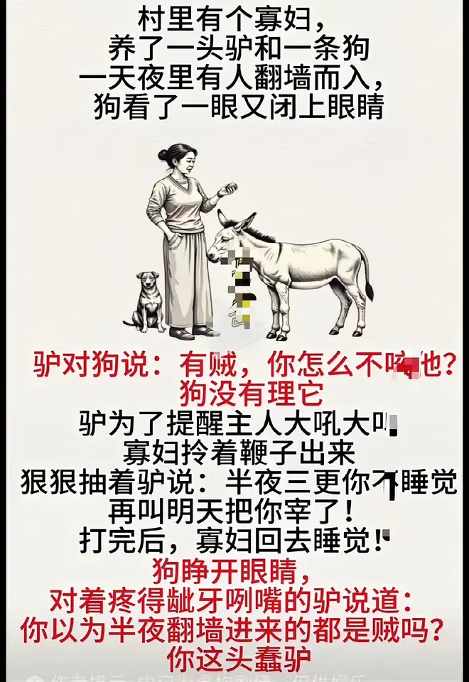 总有一款适合你