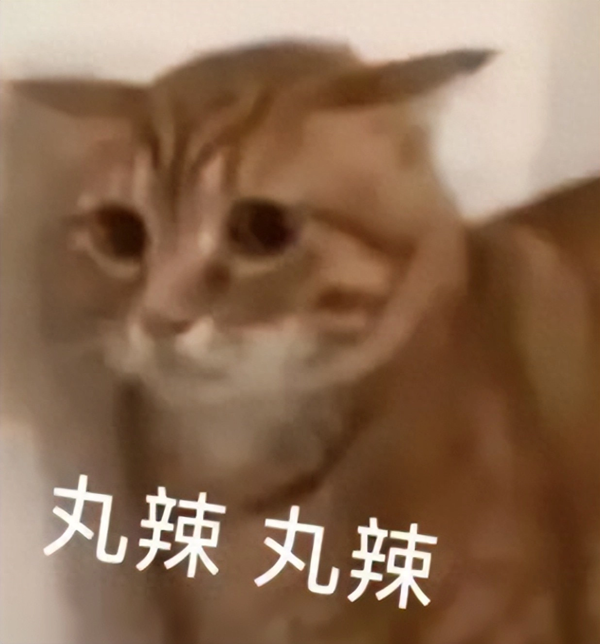 B站这次的瓜，把全体网友都惹怒了 - 万事屋 | 生活·动漫·娱乐综合社区-银魂同好聚集地
