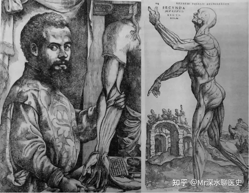 如果华佗、李时珍、扁鹊张仲景等复活了，他们的医术技术能吊打现代的医学吗？ - 万事屋 | 生活·动漫·娱乐综合社区-银魂同好聚集地