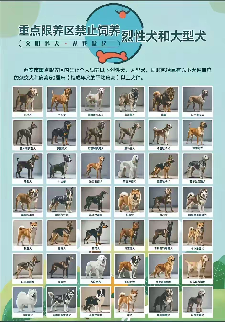 史上最严禁犬令来了 - 生活银魂 - 大众生活 - 万事屋 | 生活·动漫·娱乐综合社区-银魂同好聚集地