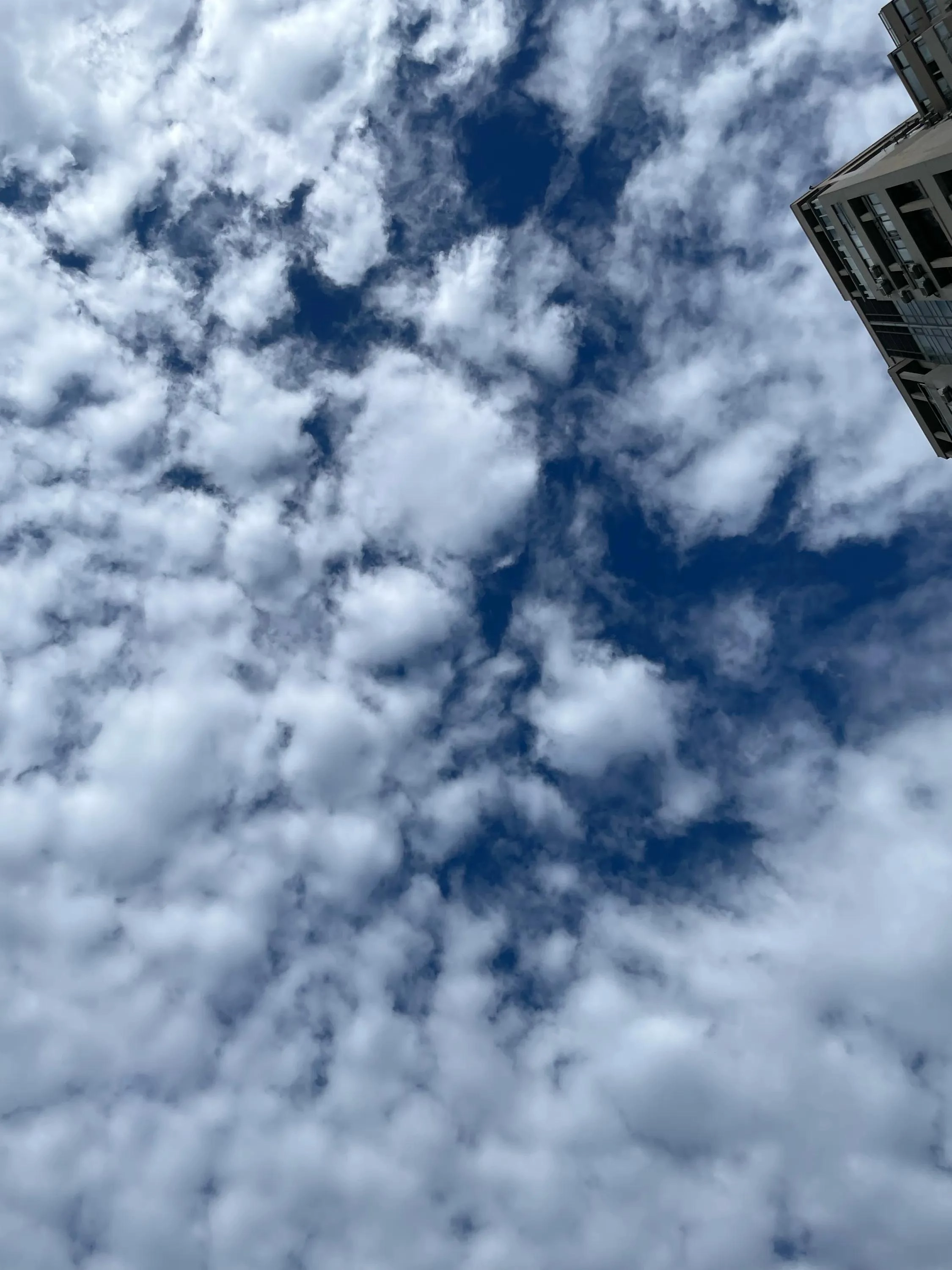 网友分享2025年7月7日上海的天空 - 万事屋 | 生活·动漫·娱乐综合社区-银魂同好聚集地