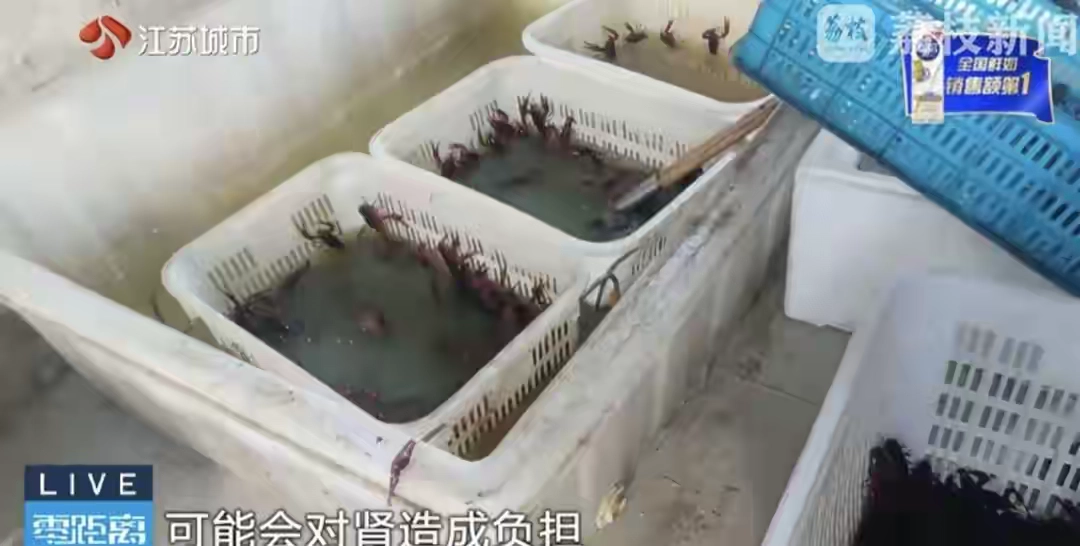 南京网红店“兄弟龙虾”用酸臭溶液洗虾、多日不换水 - 吐槽银魂 - 大众生活 - 万事屋 | 生活·动漫·娱乐综合社区-银魂同好聚集地
