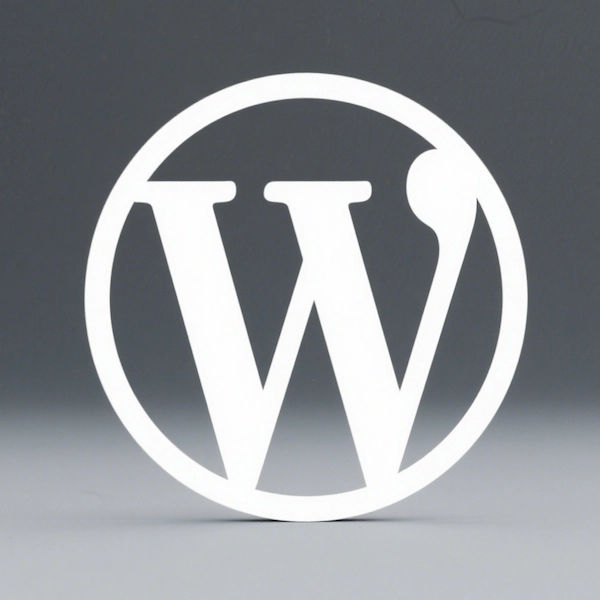 WordPress网站robots.txt终极设置指南：精准吸引搜索引擎+屏蔽安全风险 - 技术宅银魂 - 科技改变生活 - 万事屋 | 生活·动漫·娱乐综合社区-银魂同好聚集地