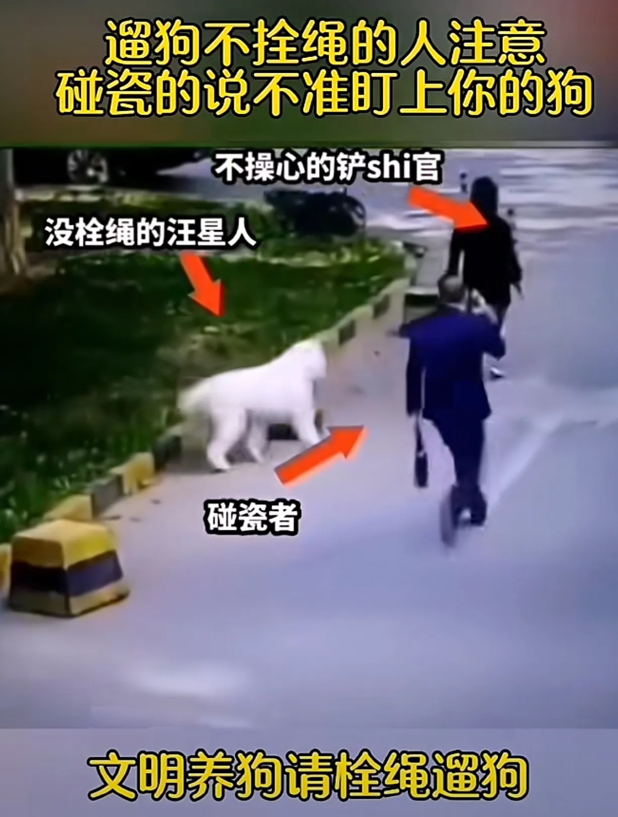 新套路，找狗碰瓷 - 吐槽银魂 - 大众生活 - 万事屋 | 生活·动漫·娱乐综合社区-银魂同好聚集地