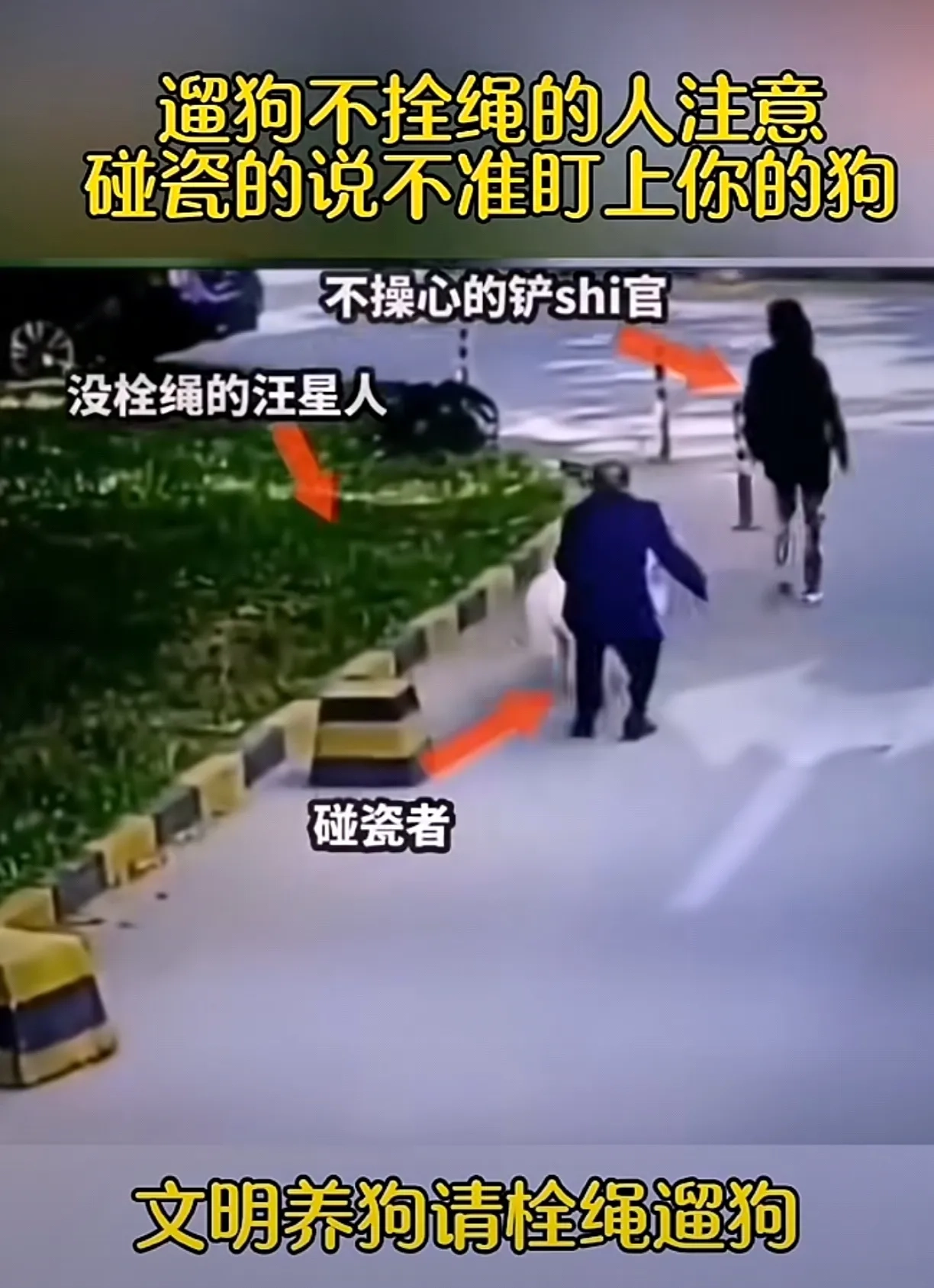 新套路，找狗碰瓷 - 万事屋 | 生活·动漫·娱乐综合社区-银魂同好聚集地