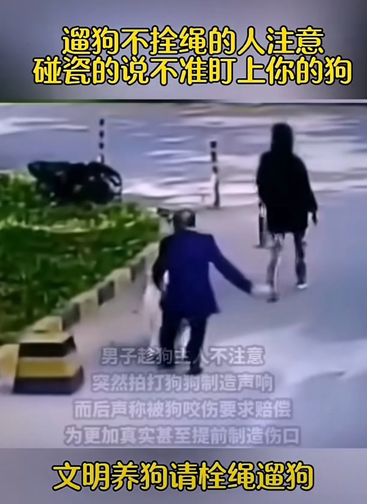 新套路，找狗碰瓷 - 万事屋 | 生活·动漫·娱乐综合社区-银魂同好聚集地