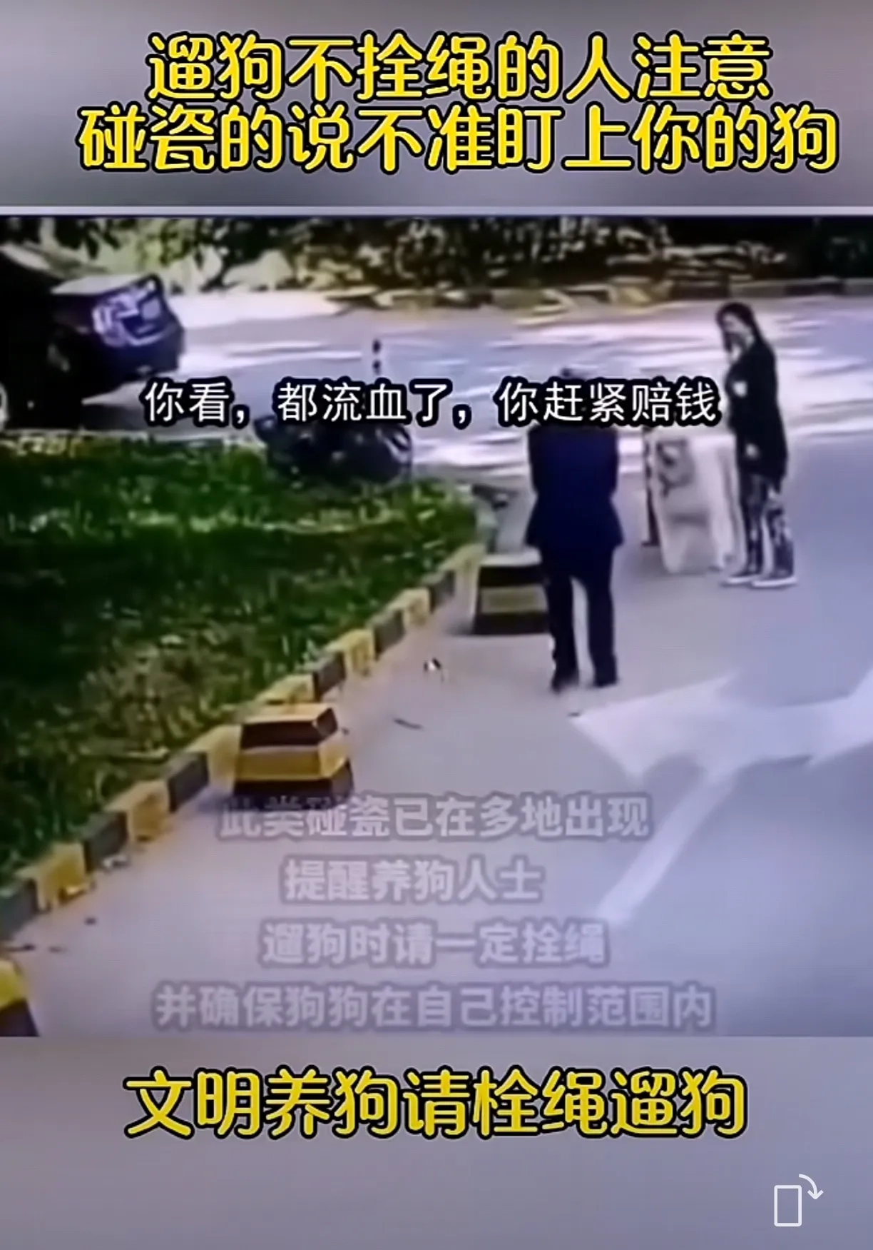 新套路，找狗碰瓷 - 万事屋 | 生活·动漫·娱乐综合社区-银魂同好聚集地