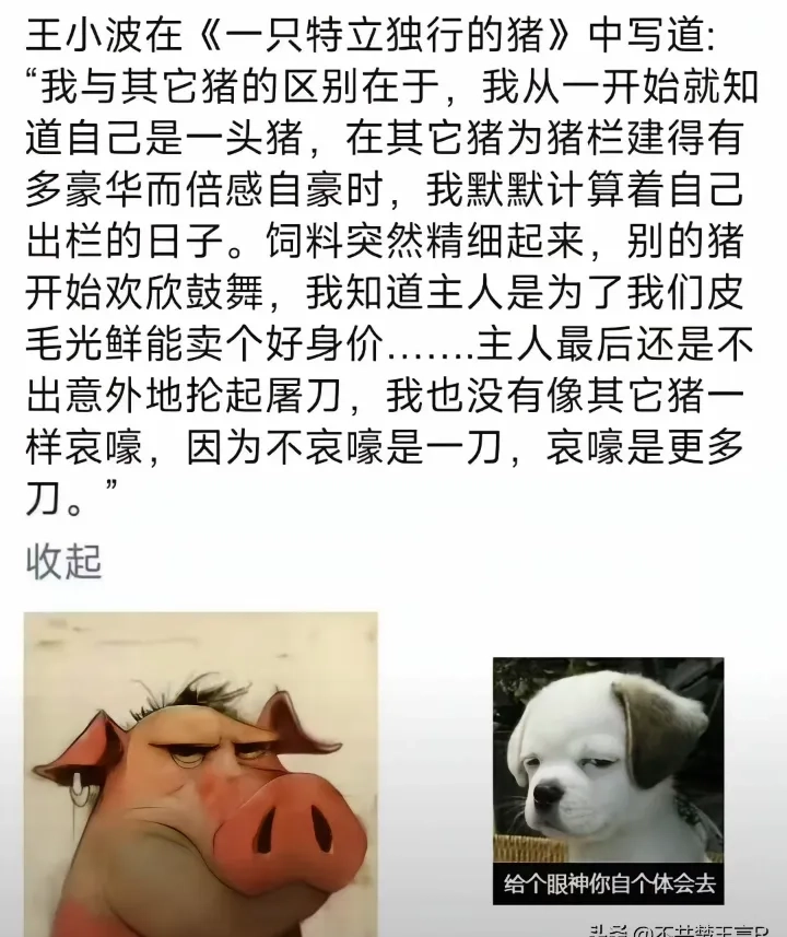 你我只是社会猪 - 生活银魂 - 大众生活 - 万事屋 | 生活·动漫·娱乐综合社区-银魂同好聚集地