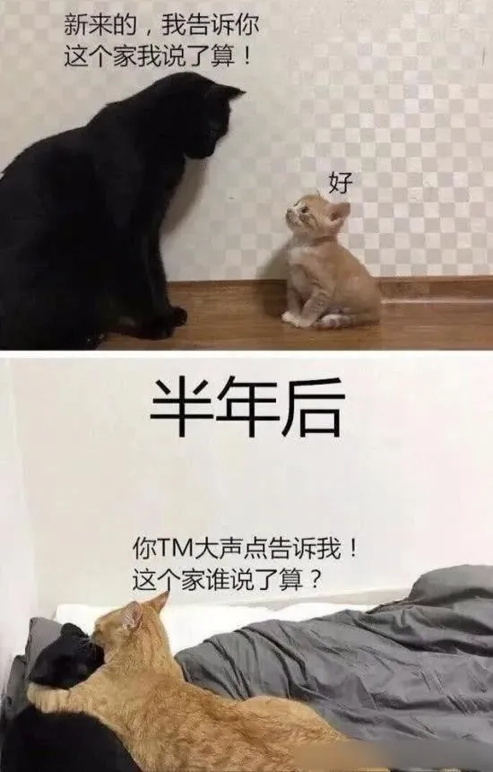 吾未壮，壮则有变 - 生活银魂 - 大众生活 - 万事屋 | 生活·动漫·娱乐综合社区-银魂同好聚集地