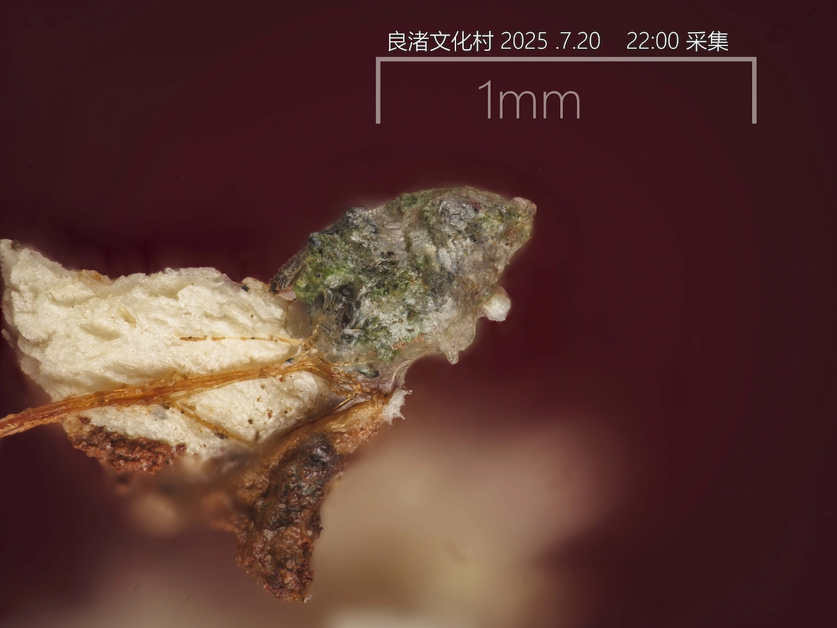 B站up主“宅家的颠野爷”发了一段视频，这个么。。。 - 万事屋 | 生活·动漫·娱乐综合社区-银魂同好聚集地