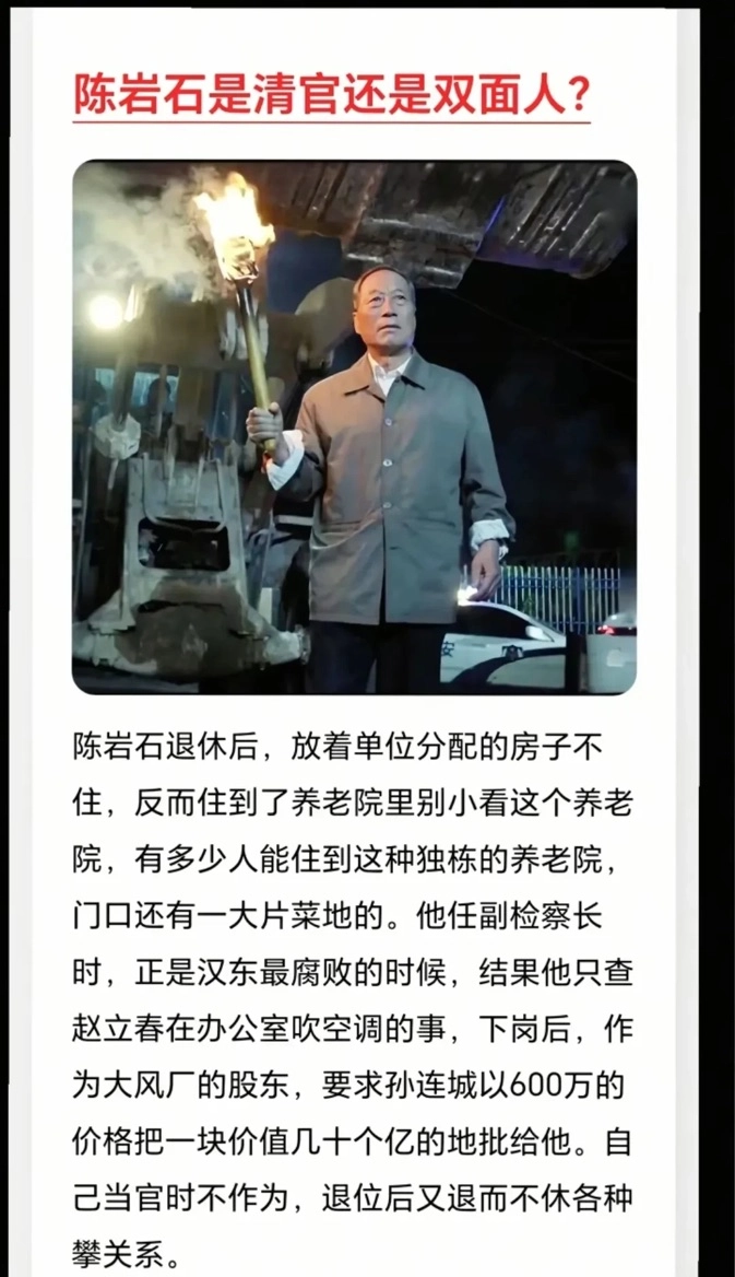 陈岩石是好官吗？为名不是为民，名义是好的，但做的事和权官无异 - 吐槽银魂 - 大众生活 - 万事屋 | 生活·动漫·娱乐综合社区-银魂同好聚集地