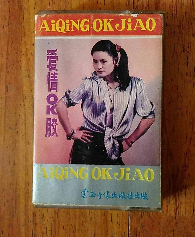 曾打败韦唯毛阿敏,却被亲弟弟砸成脑震荡,一代歌后沦为保姆谋生