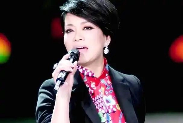 图片[12] - 曾打败韦唯毛阿敏，却被亲弟弟砸成脑震荡，一代歌后沦为保姆谋生 - 万事屋 | 生活·动漫·娱乐综合社区-银魂同好聚集地