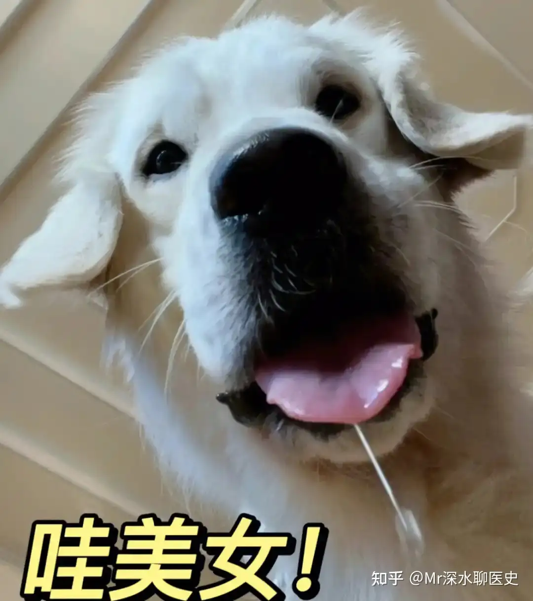 进行中医急救员学习可以选择什么方法？看深水哥讲故事 - 万事屋 | 生活·动漫·娱乐综合社区-银魂同好聚集地