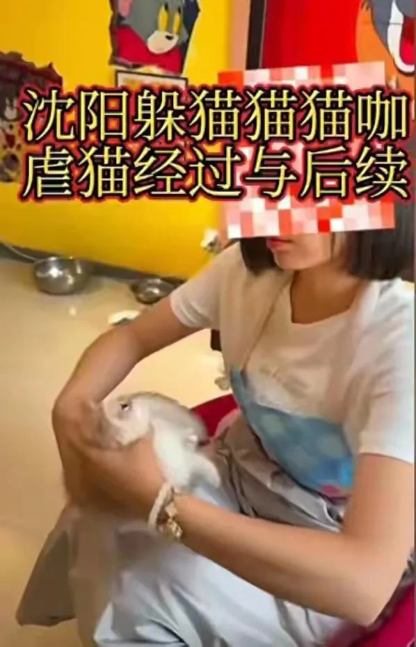 东北女子虐杀幼猫:被曝是央企职工,店主死磕到底,当地文旅沦陷