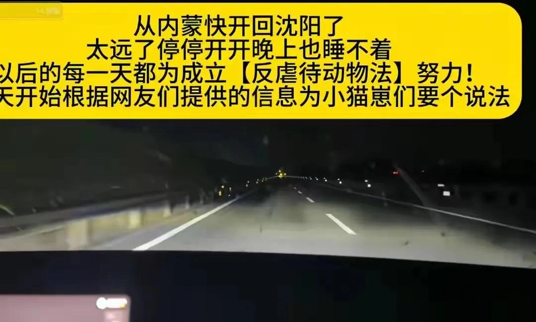 东北女子虐杀幼猫:被曝是央企职工,店主死磕到底,当地文旅沦陷