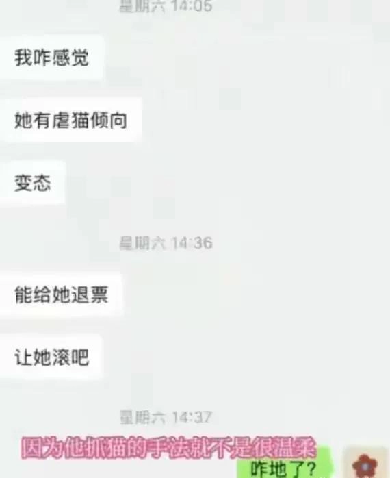 东北女子虐杀幼猫:被曝是央企职工,店主死磕到底,当地文旅沦陷