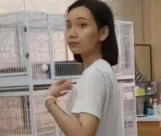 东北女子虐杀幼猫:被曝是央企职工,店主死磕到底,当地文旅沦陷