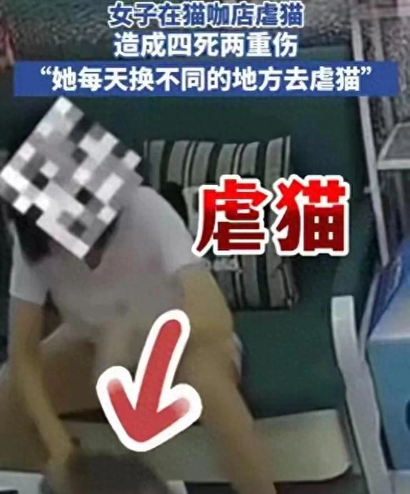 东北女子虐杀幼猫:被曝是央企职工,店主死磕到底,当地文旅沦陷